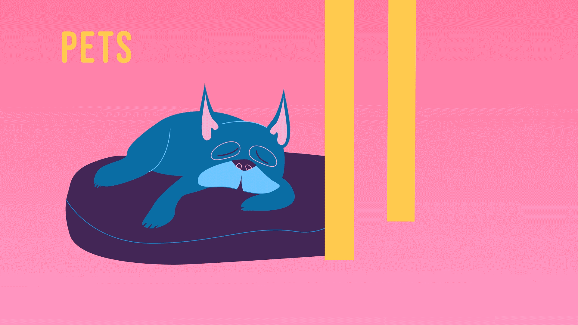 Pets_01