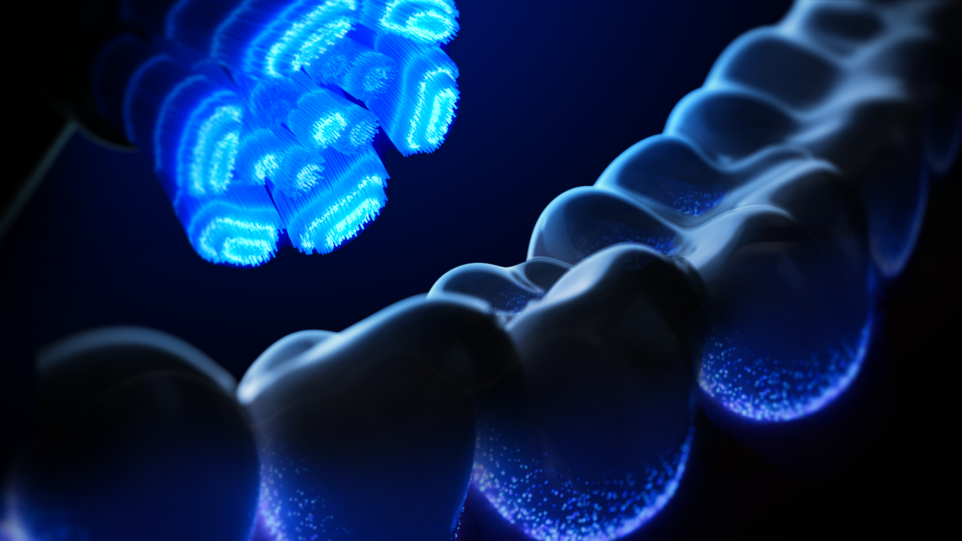 Demo_Seq_01_Blue